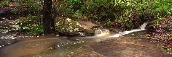Somersby Stream
