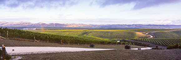 Vineyard Rainbow