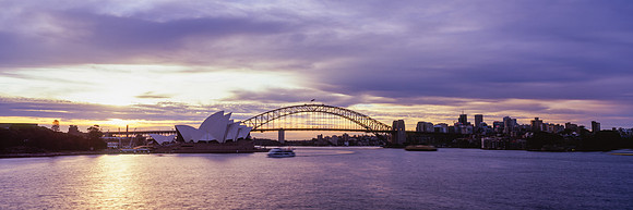 The colours of the Sydney Kings