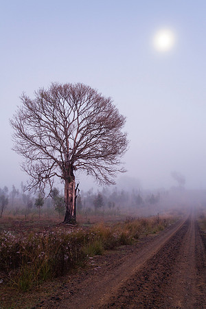As the fog sets...