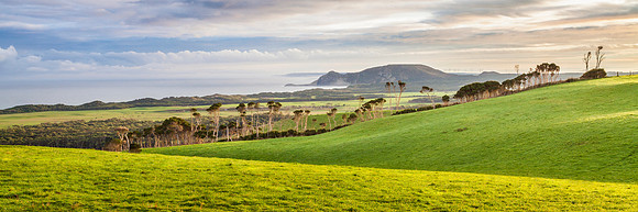 Marrawah Landscape