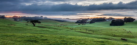 Foggy Farmscape