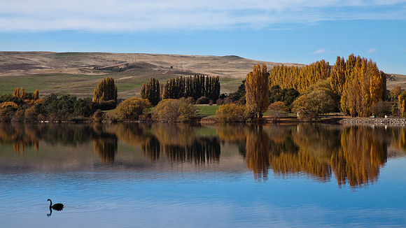 Meadowbank Lake Reflections