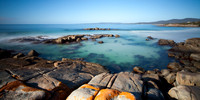 The Gardens, Bay of Fires