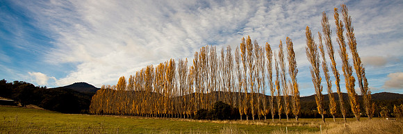 Between Launceston and St Helens