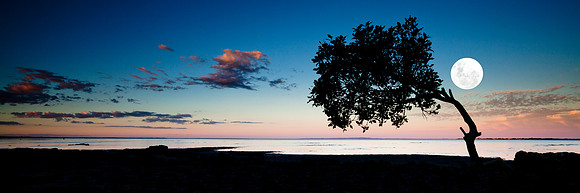 Decption Bay Moonrise