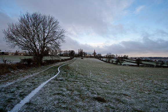 Snow Scene