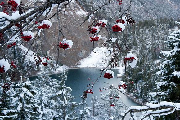 Winter!