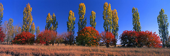 AUTUMN!