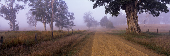 The road less travelled