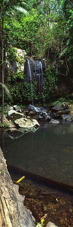 Curtis Falls
