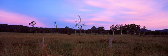 Pink Pastures