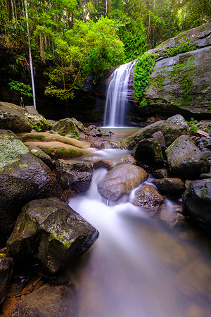 Forest Falls