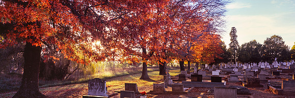 Mourning Morning