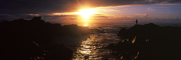 Fisho and Light