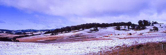Snow Showers