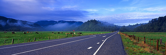 Light and Fog near Ross