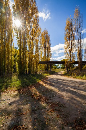 The Poplar Path