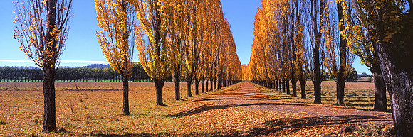 Autumn is here!