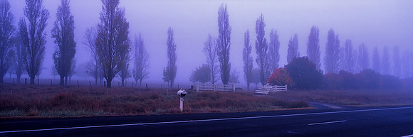 Fog Out!