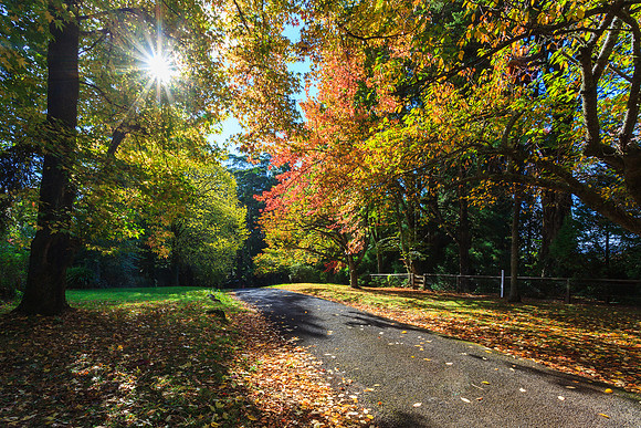 Queen's Avenue, Mount Wilson