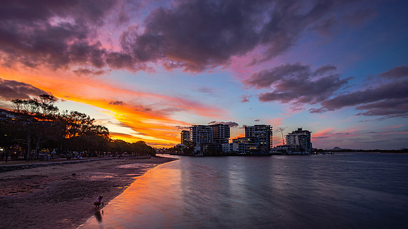 Cotton Tree Sunset