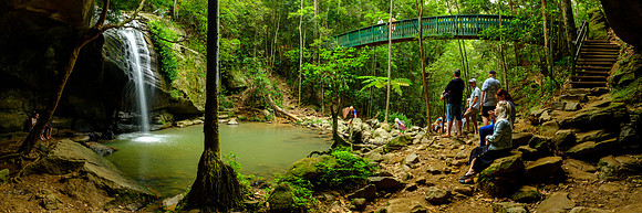 Serenity Falls, Buderim Forest Park