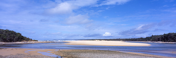 Sunny Sawtell