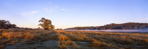 Stanthorpe Sunrise