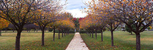 The Garden Path