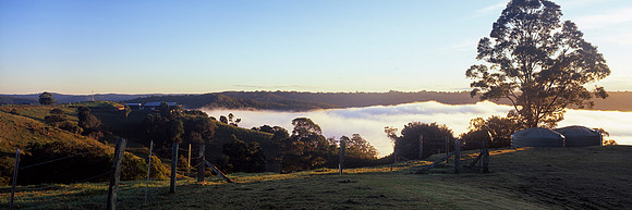 Fog over the lake